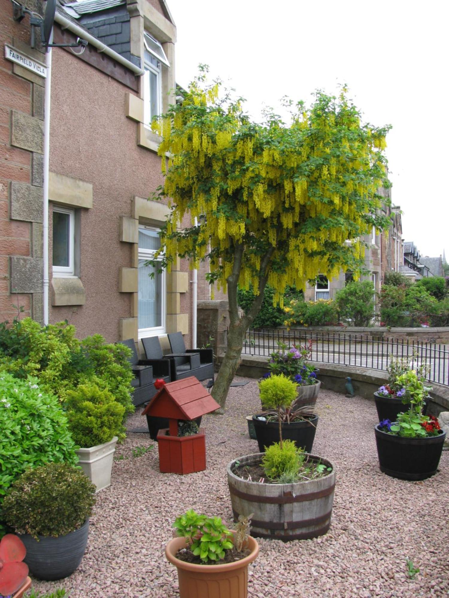 Fairfield Townhouse Guest House Inverness Eksteriør bilde